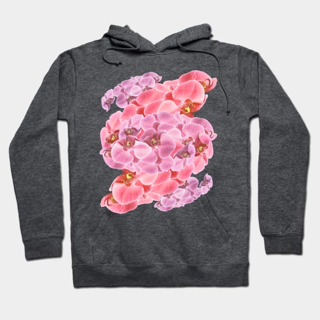 Orchid Blossoms Hoodie by badlydrawnbabe